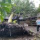 Angin Kencang Landa Nagan Raya, Tiga Rumah Rusak