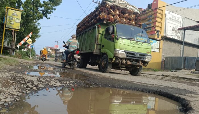 Jalan Perintis Kemerdekaan Hamparanperak Kupak-kapik
