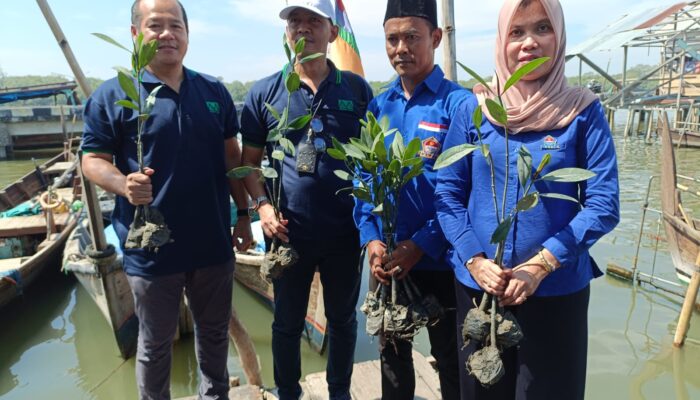 PT Musim Mas Apresiasi Penanaman 7000 Pohon Mangrove Di Bagandeli