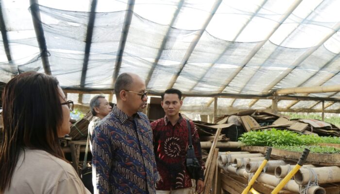 Bacagub Barry Simorangkir Akan Kembalikan Kejayaan Perkebunan dan Pertanian Sumut