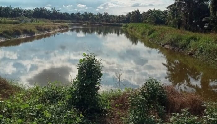 Kementerian ESDM Sebut Penambangan Pasir Kuarsa Di Batubara Di Luar Koordinat