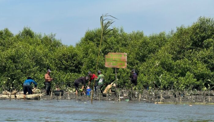 Jelang Kegiatan Reboisasi, HNSI Kota Medan Bersihkan Lokasi Pantai Bagandeli