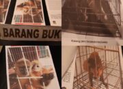 Polisi Gagalkan Perdagangan Satwa Dilindungi