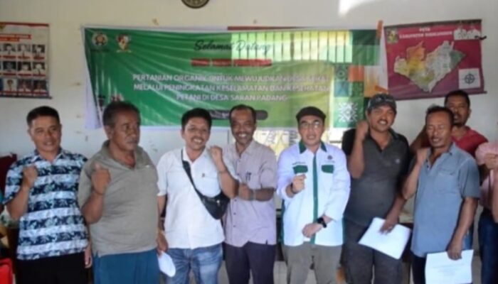 LPPM USU Mendorong Desa Saran Padang Menuju Pertanian Organik Yang Sehat Dan Aman