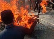 Polres Madina musnahkan barang bukti narkoba jenis ganja dalam rangka Hari Bhayangkara ke-78. (Waspada/Sarmin Harahap).