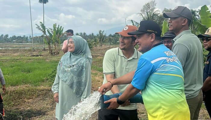 Pj Bupati Agara Monitoring Pompanisasi Dan Penanaman Padi Gogo