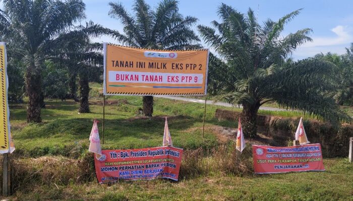 Kecewa Putusan MA, PTPN-1 Tetap Pertahankan Aset Negara Belasan Triliun Rupiah