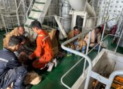 Dihantam Badai, Lima Nelayan Langkat Dievakuasi Kapal Singapura