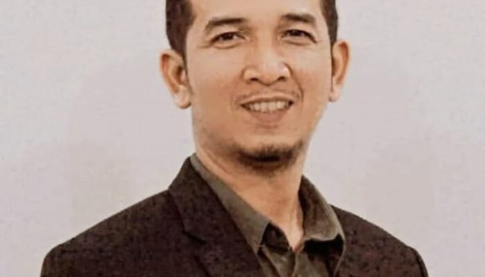 Kotak Kosong Kembali Terjadi Di Pilkada Deliserdang, Kegagalan Parpol Hasilkan Kader