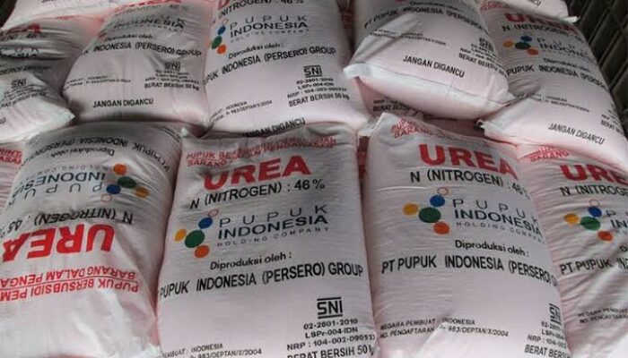 Harga Pupuk Subsidi Semakin Mahal, Petani Mengeluh