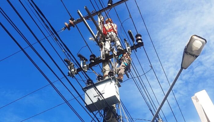 PT PLN ULP Sibuhuan Lakukan Perbaikan Jaringan