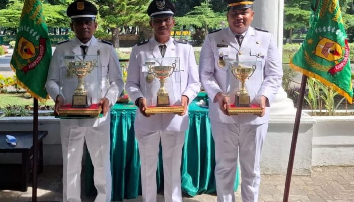 Bukit Kubu Raih Kelurahan Terbaik Pertama Kab. Langkat 2024