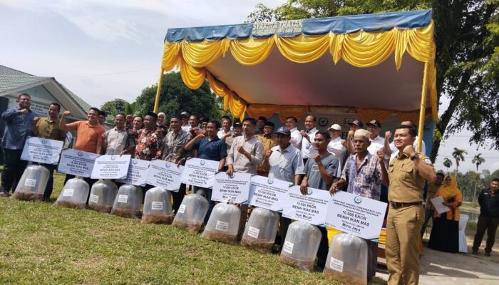 10 Poktan Terima Bibit Ikan Mas, Ini Pesan Ketua Komisi IV DPR RI