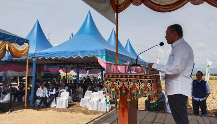 Komisi IV DPR RI Panen Raya Jagung Sekaligus Serahkan Bibit Jagung