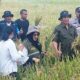 Kapolsek Siantar Marihat Polres Pematangsiantar AKP Relina Lumbangaol (dua kanan depan) menghadiri pengubinan hasil panen padi di hamparan persawahan Sianjur Nauli, Kel. Simarimbun, Kec. Siantar Marimbun, Rabu (17/7).(Waspada-Ist).