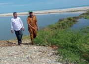 Distanpan Abdya Kaji Teknis Penanganan Muara Suak Mirah