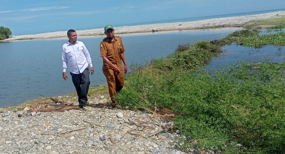 Plt Kadistanpan Abdya Hendri Yadi SP (kemeja putih), didampingi Penyuluh Pertanian Lembah Sabil Khairunnas SP, saat meninjau mulut muara Suak Mirah, yang tersumbat dan merendam tanam padi milik petani di Desa Ujung Tanah dan Ladang Tuha I. Foto direkam Senin jelang sore (1/7) lalu.Waspada/Syafrizal