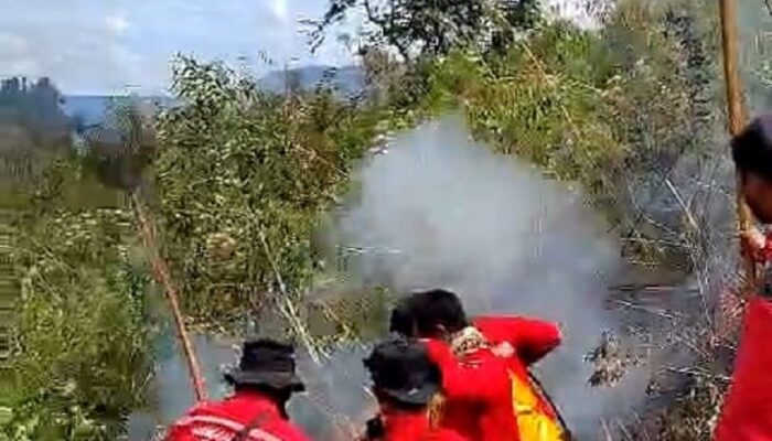 Kebakaran 2 Perbukitan Di Karo, Berhasil Dipadamkan Secara Manual