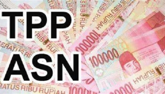 Bulan Ini Diyakini TPP ASN Cair