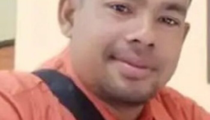 Realisasi Tanam Komoditi Padi Di Abdya 8262 Hektare