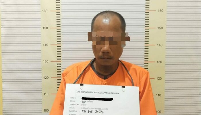 Polres Tapteng Tangkap Petani Terduga Pengedar Ganja