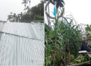 Imbas Angin Kencang, 27 Rumah Rusak