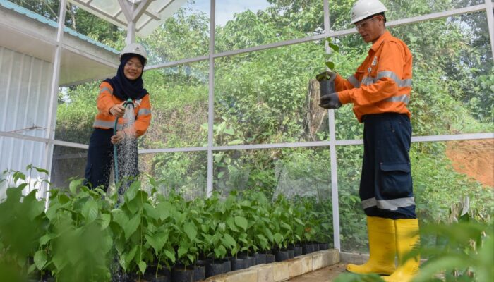 PT AR Tanam Ribuan Pohon Dan Perluas Fasilitas Pembibitan Tanaman