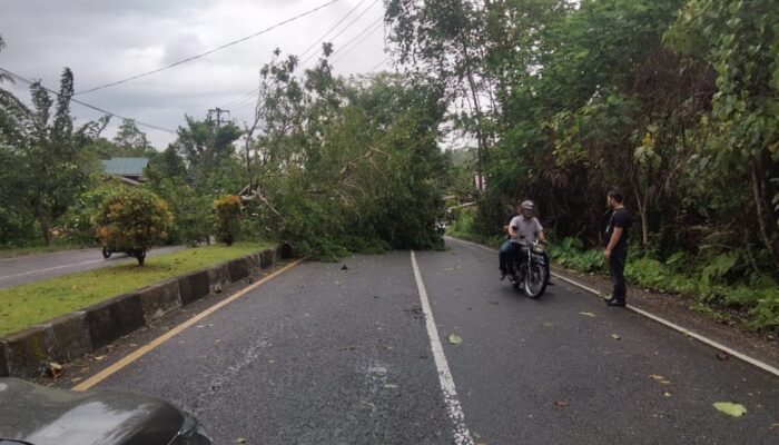 Simeulue Dilanda Angin Kencang
