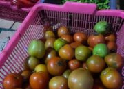 Terjadi Deflasi Nasional 0,08 Persen