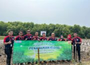 Pencapaian 17 Tahun Alfamidi Melayani Indonesia