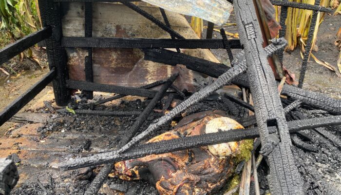 Kandang Sapi Dan Usaha Perabotan Terbakar, Uang Tunai Rp70 Juta Musnah
