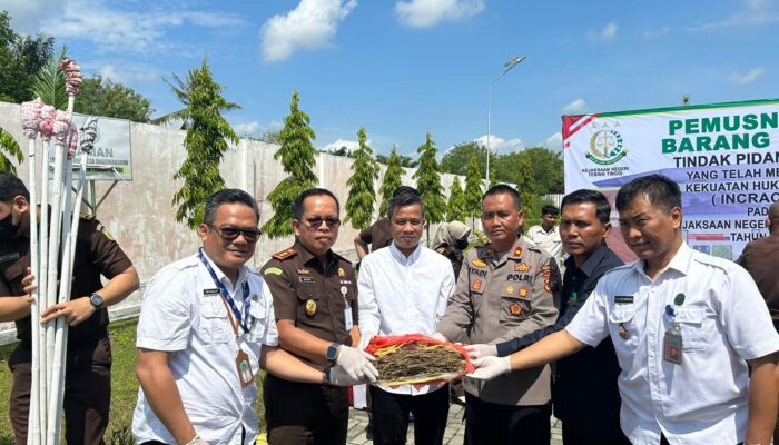 Pj Wali Kota Hadiri Pemusnahan BB Narkotika Di Kejari Tebingtinggi