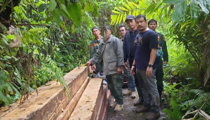 Illegal Logging Marak, Balai TNBG Giat Patroli