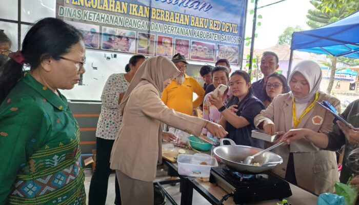 Dinas Ketapang Samosir Pelatihan Pengelolaan Ikan Red Devil