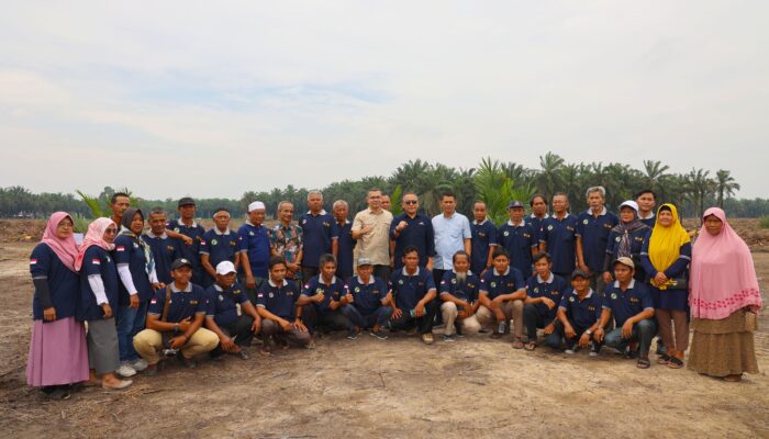 Target 60.000 Ha Peremajaan, Begini Cara PalmCo Gandeng Semua Petani Sawit Indonesia