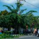 Petugas PLN sedang melakukan perampalan pohon yang telah mendekati jaringan listrik.