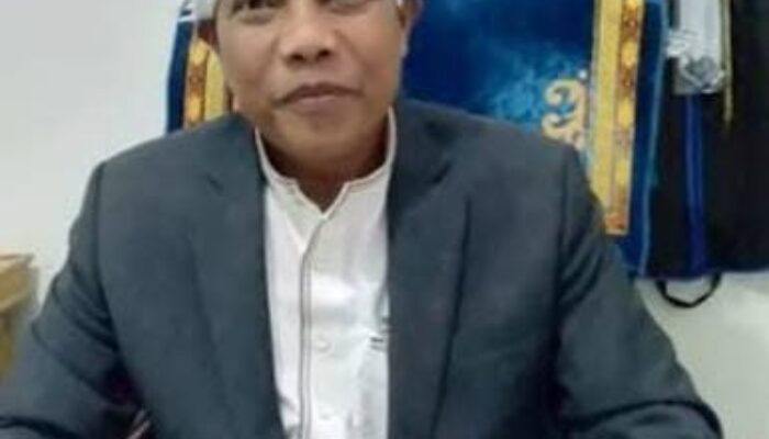 Cawagub Edy Ramayadi Dari Tokoh Jawa, Guru Besar UINSU: Potensi Menang Besar