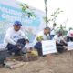 Semarak HUT RI Ke-79, PT PIL Lakukan Program Tanam Pohon