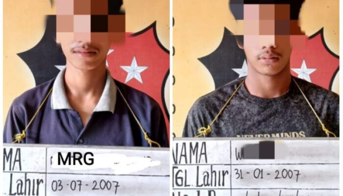Curi Sepedamotor Teman, 2 Remaja Masuk Sel