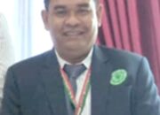 MUI Sumut Komentari Arab Saudi Bangun Gedung Bioskop