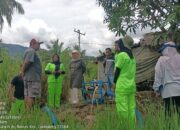 Kementerian Pertanian melalui Politeknik Pembangunan Pertanian (Polbangtan) Medan memastikan program pompanisasi di Sumatera Utara berjalan dengan baik.