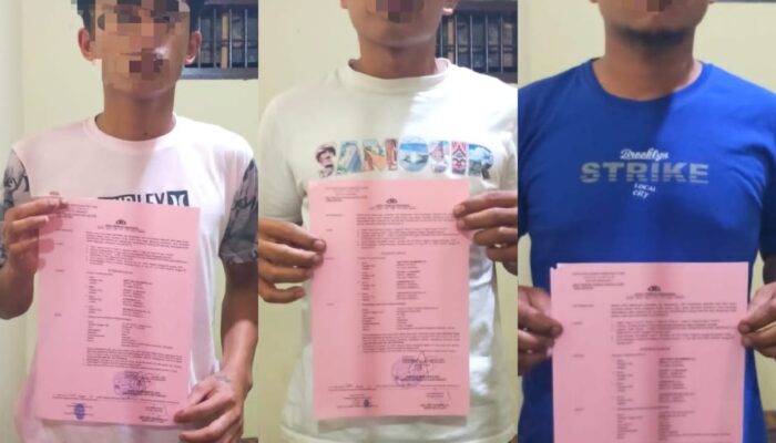 3 Pria Curi Babi Diamankan Polisi
