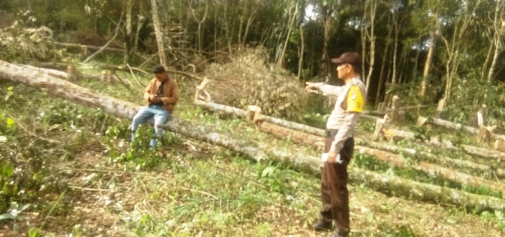 Lahan milik Bomer Pasaribu, 38, di Desa Simpang Bolon, Kecamatan Garoga, Taput yang diduga dirusak sekelompok orang. Waspada/ist