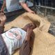 Wesly Sitorus, 56, ditemukan meninggal dunia dengan tubuh dipenuhi luka-luka di salah satu rumah panglong miliknya di desa Patane 3 Porsea, Jumat (2/8). Waspada/Ist