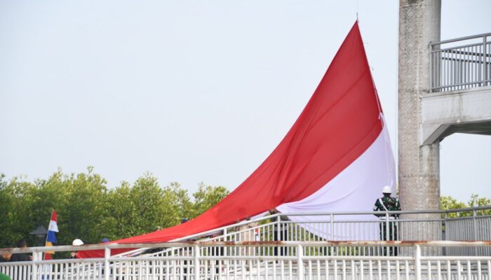 Bendera Merah Putih Raksasa Dikibarkan Di Tower Mangrove Langsa