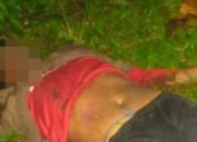 Dicurigai Hendak Maling Ayam, Seorang Pria Tewas Dibacok Pemilik Ternak