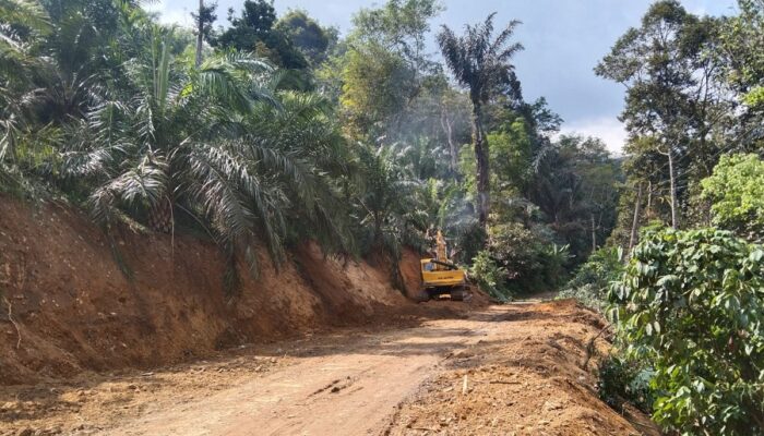 Kondisi Jalinsum Sosopan Yang Selama Ini Meresahkan Mulai Diperbaiki