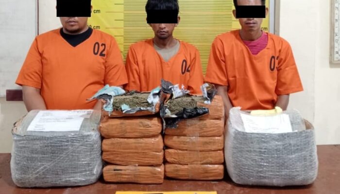 3 Tersangka Gagal Kirim 10 Kg Ganja Dari Sidimpuan Ke Bekasi
