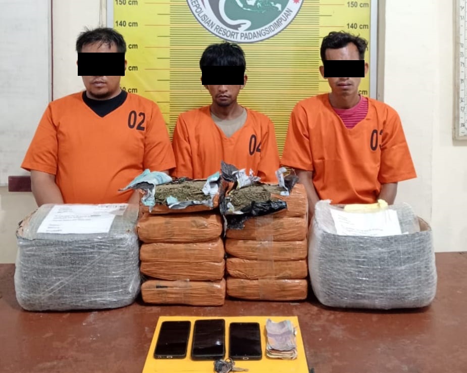 3 tersangka yang gagal mengirim 10 Kg ganja, dimankan di Mapolres Padangsidimpuan. (Waspada/Ist)