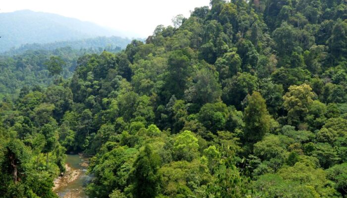 Menteri ATR/BPN Dikritik Soal Alih Kawasan Lahan Mantan Kombatan GAM